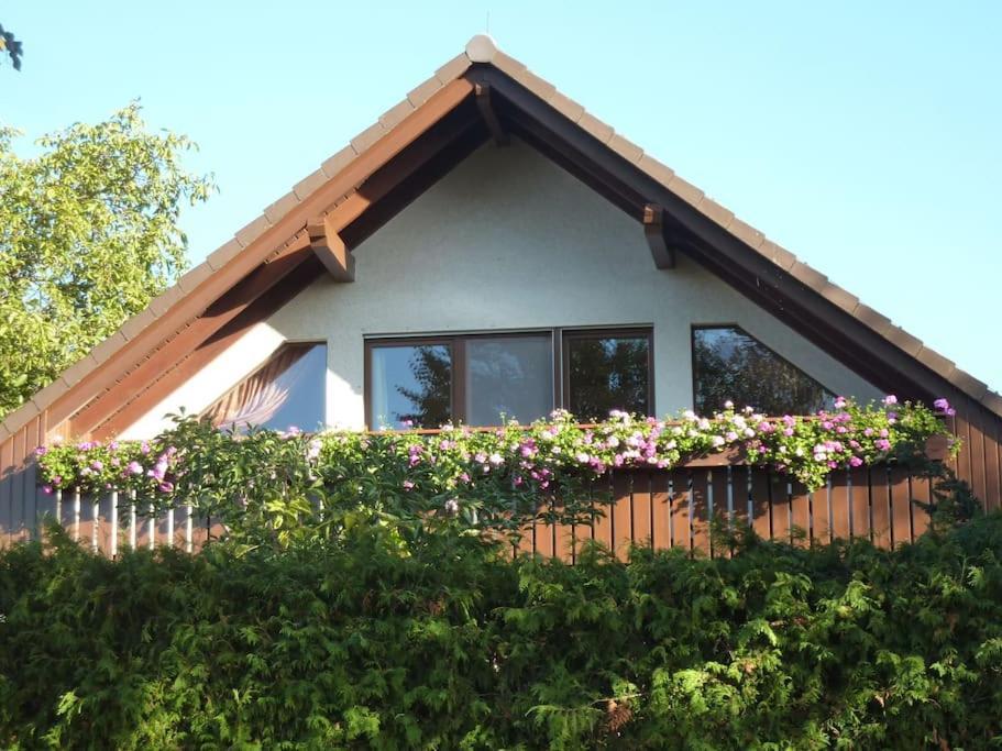 Ferienwohnung Am Stadtrand Von Berlin Neu Buch Buitenkant foto